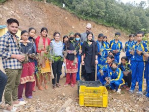 पाटन–८ को वडास्तरीय युवा सञ्जालद्वारा वृक्षारोपण