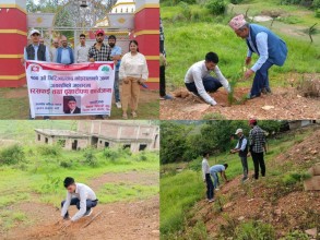 गिरिजाप्रसाद कोइरालाको १००औं जन्मजयन्तीमा बैतडीमा वृक्षारोपण 