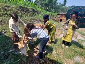 डिलाशैनी–५ का टोलटोलमा कृषि र पशु स्वास्थ्य प्राविधिक